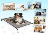 50"D x 31"W x 8"H Dog Bed Gray 69550777