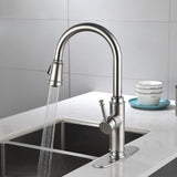 ZNTS Single Handle High Arc Pull Out Kitchen Faucet,Single Level Stainless Steel Kitchen Sink Faucets 82522326