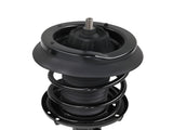 Front Struts Rear Suspension Shock Assembly fit for Mercedes-Benz C230 2002-2007 68520026