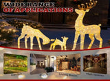 3-Piece Lighted Christmas Reindeer Family Set Outdoor Decorations, Weather Proof Deer Family Set of 49296917