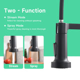 Faucet for Kitchen Sink, Black Kitchen Faucet with Pull Down Sprayer, Modern Commercial Spring W1932P154734