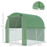 Mini Walk-in Greenhouse 82667245