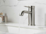 Single Handle Bathroom Faucet Lavatory Faucet Stainless Steel Single Hole-T10, Brushed NickelUnable 33582304
