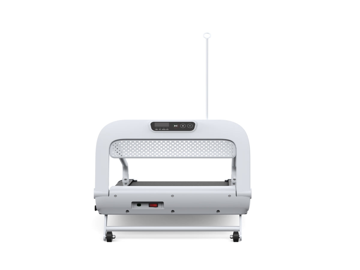 2025 New Quiet Smart Pet Treadmill, Adjustable Speed, Perfect for