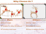 3 Pieces Lighted Christmas Reindeer Christmas decoration 09178562
