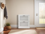 2-door louvered shoe cabinet 40186736