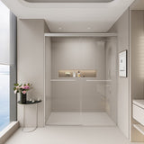 44-48 in. W x 72 in. H Double Sliding Shower Door, Semi-frameless Bypass Bathroom Sliding Door with W1573P239434
