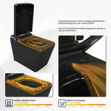 Intelligent Sitting Bathroom with Wireless Remote Control,Modern Intelligent Integrated Waterless T3177P286048