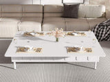 VIBE HAUS Lift-Top Coffee Table with Drawers, Modern Center Table with Foldable Top, N724P292514K