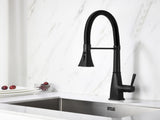 Kitchen Faucet with Pull Down Sprayer 02077531
