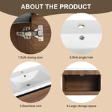 LEVISTAR Brown 30 Inch Bathroom Vanity with resin Countertop Sink, 2 Doors Bathroom Cabinet Set W1972P165046