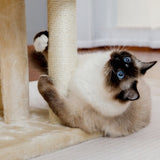 ZNTS Modern Small Cat Tree Cat Tower With Double Condos Spacious Perch Sisal Scratching Posts,Climbing 07745990