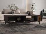 Coffee Table, 1 Door, 1 Shelf, Black / Natural Oak B097P262373