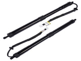 2X Rear Tailgate Power Lift Support Strut Replacement for Lexus RX350 RX350L RX450hL 2018-22 78107031
