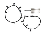 2 Glow Plug Harnesses & 8 Glow Plugs ZD13 fit for 05-07 Ford F250 6.0L Powerstroke 84564838