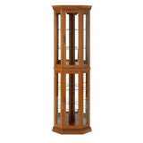 Corner Curio Cabinet with Lights, Adjustable Tempered Glass Shelves, Mirrored Back, Display W1693P165016