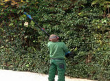 2-in-1 Electric Pruning Shear with Pole - 850W Brushless Motor, 200min Run Time, 4.5-6.3ft Extension 47093163