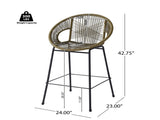 Ferrara Outdoor Patio Green Faux Wicker Barstool, Set of 2 N775P266222G