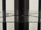 Lighted Corner Curio Cabinet - Glass Display Shelf with Tempered Glass Doors, Adjustable Shelving, W1758P300129
