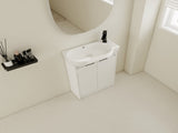 23" Freestanding Bathroom Vanity with Sink, Soft Close Doors W999P206105