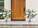 2 Pack White Artificial Camellia Tree with Blooming Flower 75346222
