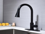 Kitchen Faucet with Pull Out Spraye 34863957