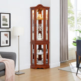 Corner Curio Cabinet with Lights, Adjustable Tempered Glass Shelves, Mirrored Back, Display W1693P171662
