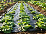 6x100FT Heavy Duty Weed Barrier Landscape Fabric, Woven PP Geotextile Ground Cover for Driveways & 27218791