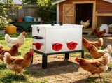 Automatic Chicken Feeder 08294586
