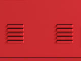 24" H Locker Cabinet, Metal Locker Cabinet with 1 Doors, Small Metal Locker,Lockable W396100784