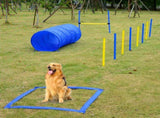 Dog agility training equipment 49063692