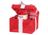 12in Motorized Pop-up Gift Box with Santa, Outdoor Christmas Decorations with Motor & 60 LED Lights, 64899974