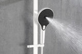 Eco-Performance Handheld Shower with 28-Inch Slide Bar and 59-Inch Hose W1272101891