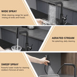 Kitchen Sink, Black Kitchens with Pull out Sprayer,Kitchen Bar Single Hole W1932P218059