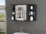 Roseburg 6-Shelf Medicine Cabinet with Mirorr Black Wengue B06280463