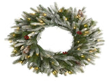 24" Snowed Artificial Christmas Wreath with 50 Warm White LED Lights and Pine Cones, Green 76979028