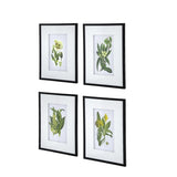 Set of 4 Botanical Flower Wall Art, Home Decor for Living Room, Dining Room, Bedroom, Hallway, 20" x W2078130294