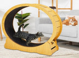 Cat Wheel Exerciser for Indoor Cats, 43.3-inch Large Cat Exercise Wheel for Running Silent, Cat 07677177