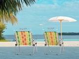 Set of 2 Webbed Folding Beach Chairs, Outdoor Patio Lawn Foldable Chairs for Camping Fishing Yard 34057801