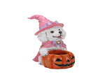 Halloween White Teddy Puppy Figurine, Witch Dog Holding Pumpkin Candy Bowl Decoration 01838696