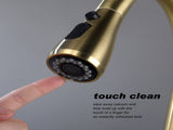 Kitchen Faucet with Pull Out Spraye 58556290