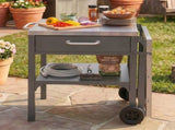 Outdoor Kitchen Cart Foldable Outdoor Prep Station Portable BBQ Cart Grill Cart with Foldable Top N719P407403E