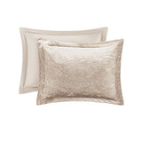 Twin/Twin XL Velvet Comforter Set with Throw Pillow B035P203251