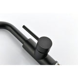 Single Handle Kitchen Sink Faucet with Pull Out Sprayer W2287P154025