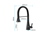 Kitchen Faucet with Pull Down Sprayer 02077531