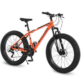 ZNTS S26109 26 Inch Fat Tire Bike Adult/Youth Full Shimano 21 Speed Mountain Bike, Dual Disc Brake, W1856121710