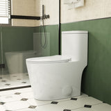 1.1/1.6 GPF Elongated Comfort Height Floor Mounted One-Piece Toilet , CUPC Certified, WaterSense B2724P246932