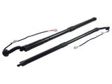 2X Tailgate Gas Struts Unit Assy Rear for Lexus NX300 NX300h 2.0L AZ10 2018-2021 68920-79017 06287096