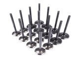Intake & Exhaust Valve Kit Replacement for Toyota 4Runner T100 Tacoma 2.7L l4 DOHC 3RZFE 13711-75060 16861955