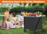 Extra Large Shopping Cart,Grocery Cart on Wheels, Foldable Utility Shopping Carts with Double Basket 06936271